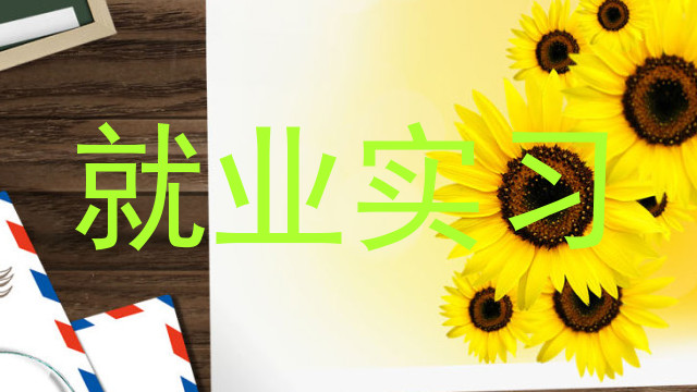 就业实习