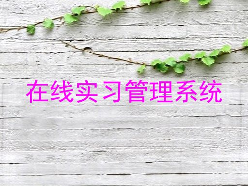 在线实习管理系统