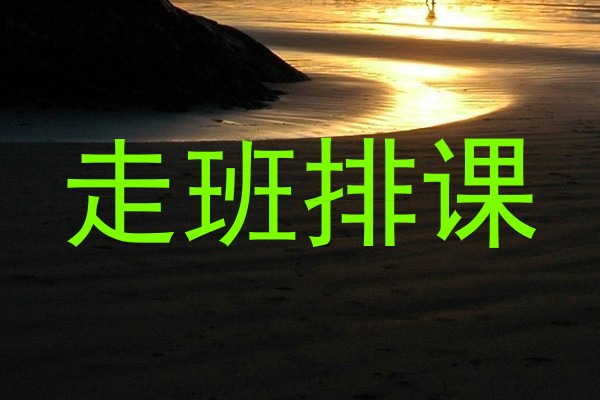 走班排课