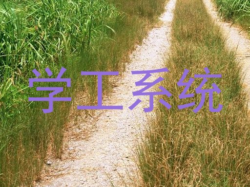 学工系统