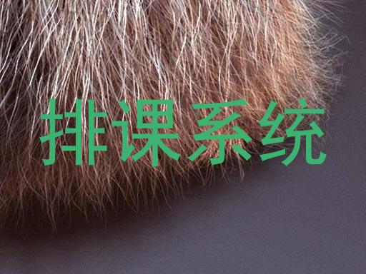 排课系统