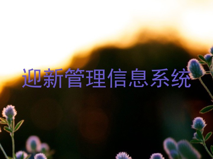 迎新管理信息系统