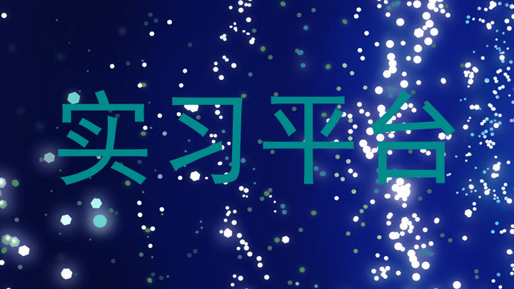 实习平台