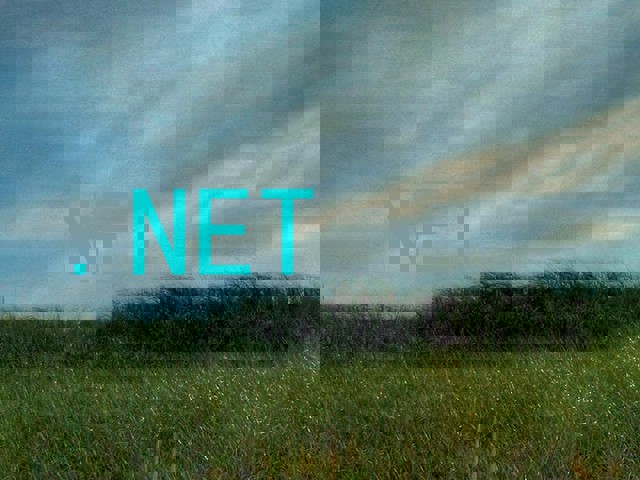 .NET