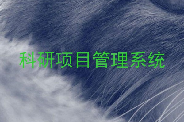 科研项目管理系统
