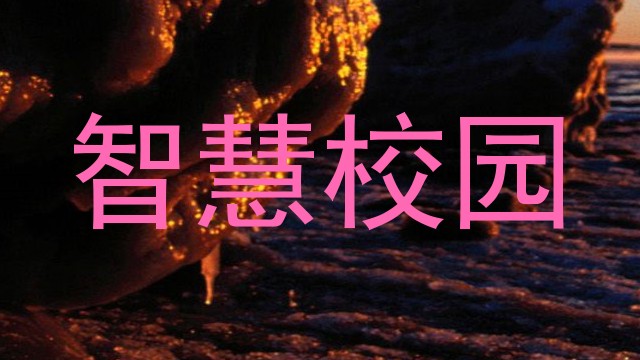 智慧校园