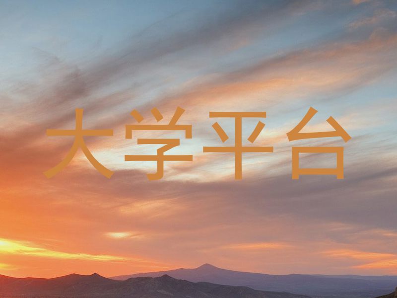 大学平台