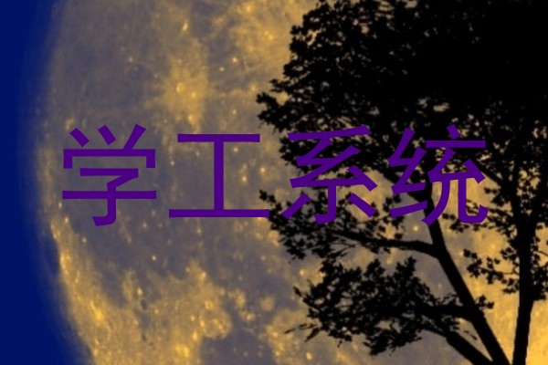 学工系统