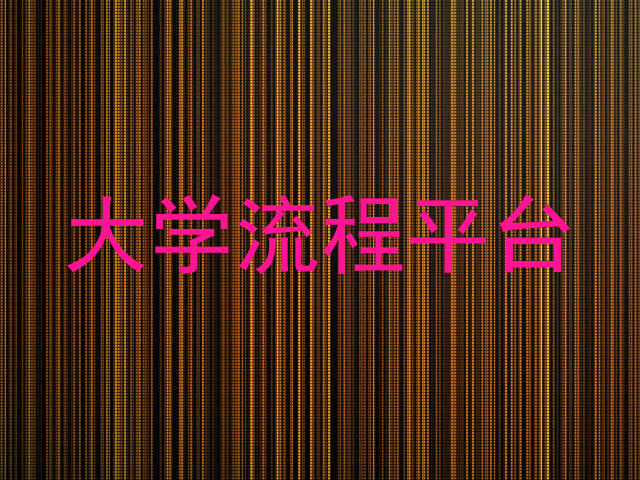 大学流程平台