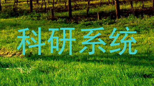科研系统