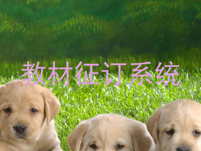 教材征订系统