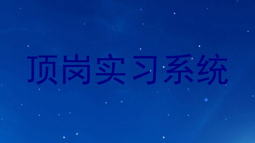 顶岗实习系统