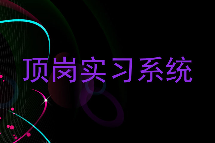 顶岗实习系统