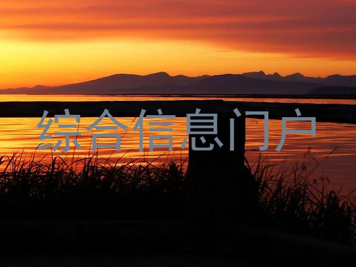 综合信息门户