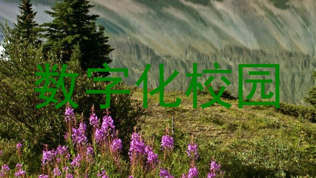 数字化校园