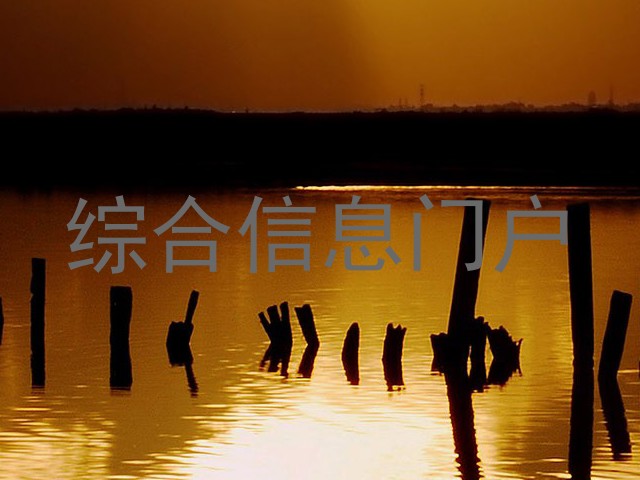综合信息门户