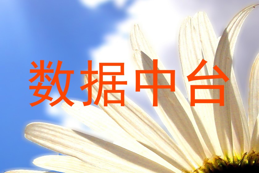 数据中台