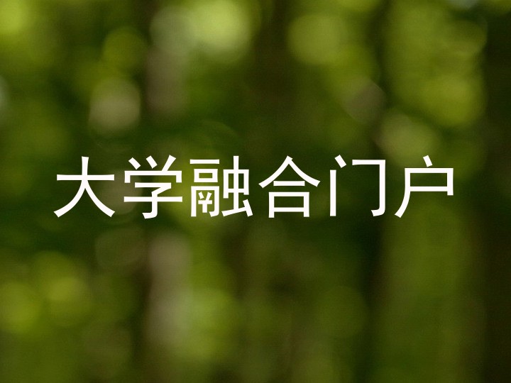 大学融合门户