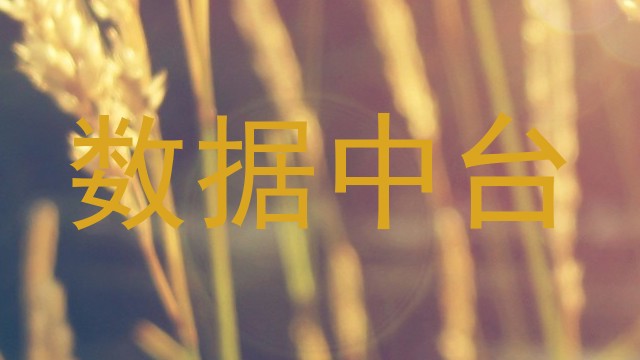 数据中台