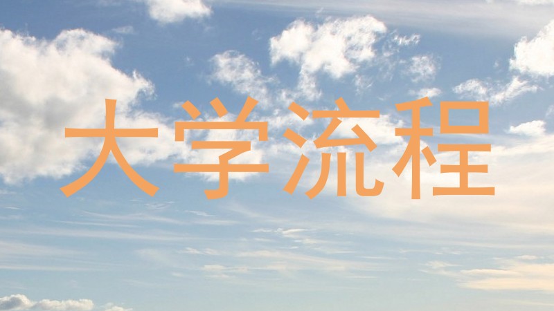 大学流程