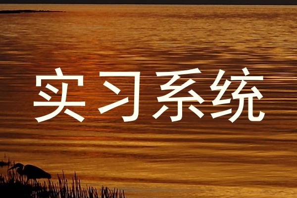 实习系统