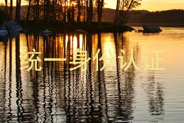统一身份认证
