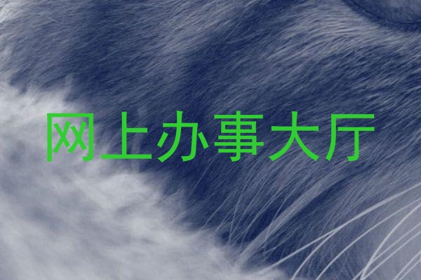 网上办事大厅