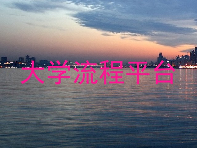 大学流程平台