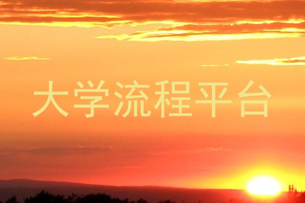 大学流程平台