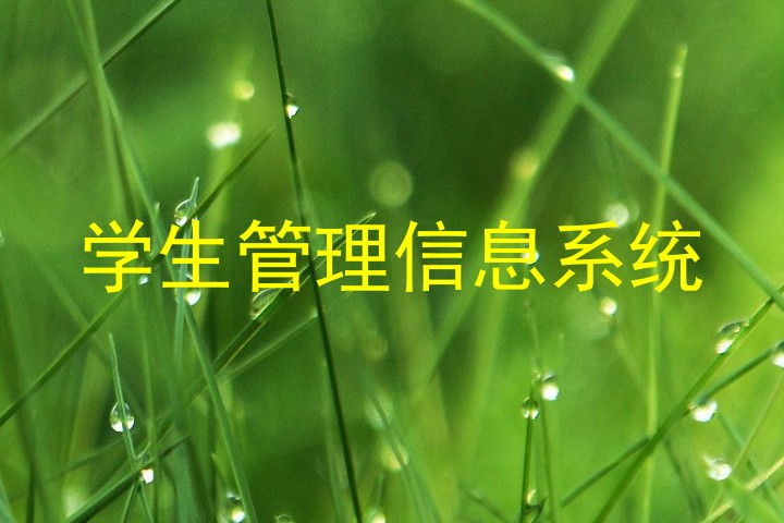 学生管理信息系统