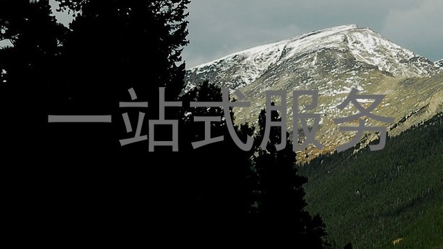 一站式服务