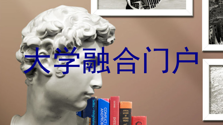 大学融合门户