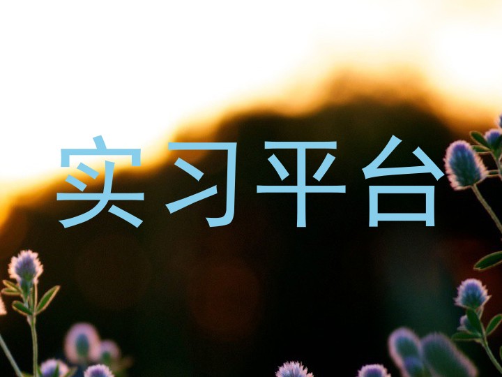 实习平台
