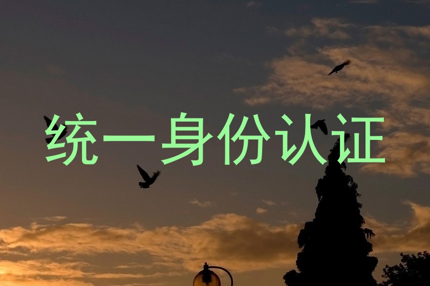 统一身份认证