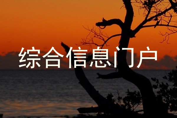综合信息门户