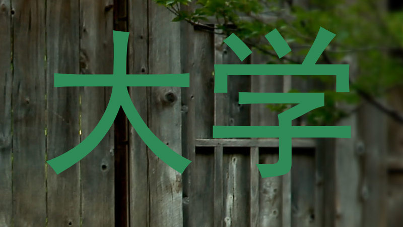 大学