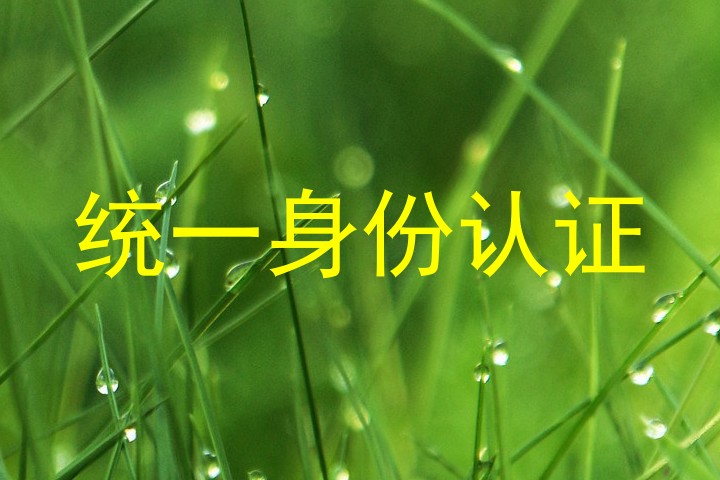 统一身份认证