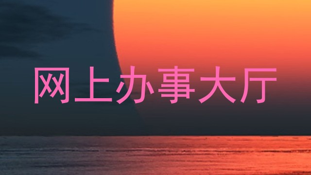 网上办事大厅
