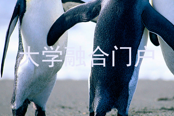 大学融合门户