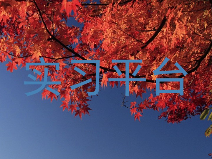 实习平台
