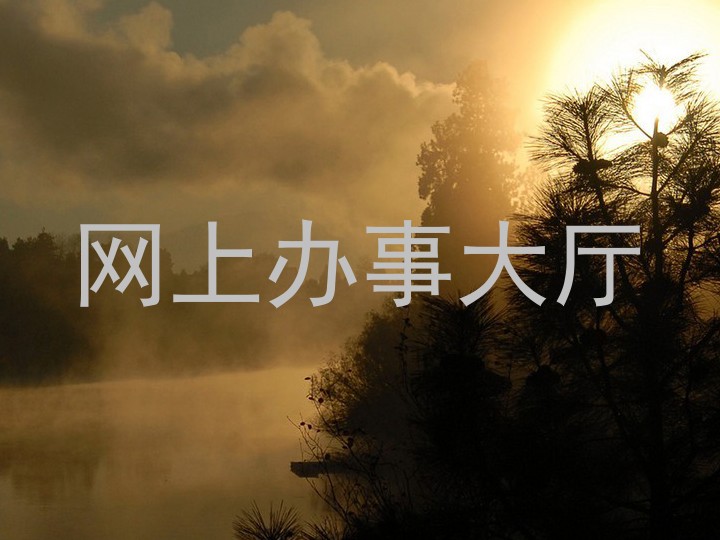 网上办事大厅