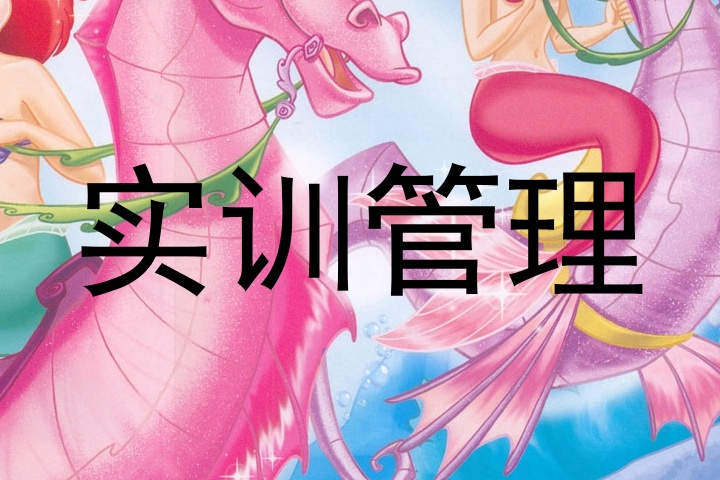 实训管理