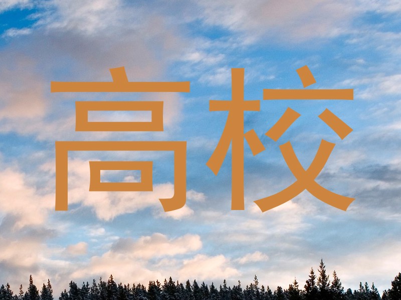 高校