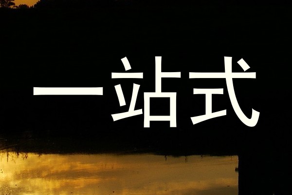 一站式