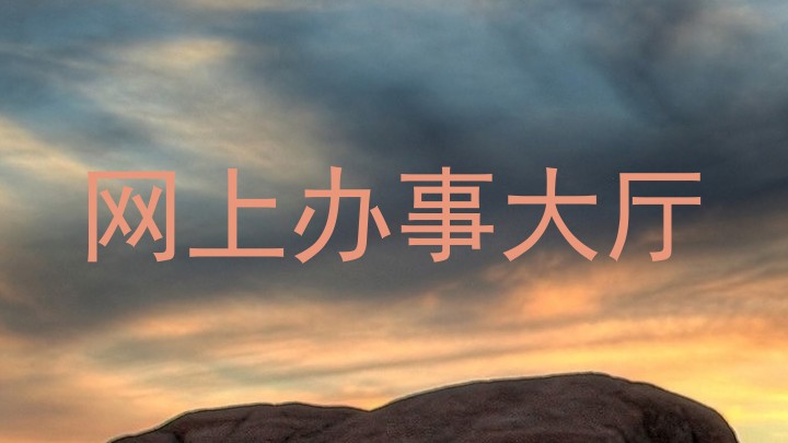 网上办事大厅