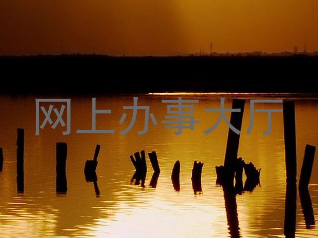 网上办事大厅