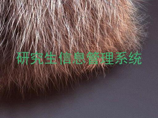研究生信息管理系统