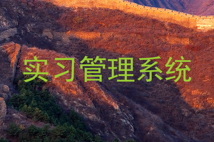 实习管理系统
