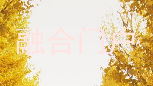 融合门户