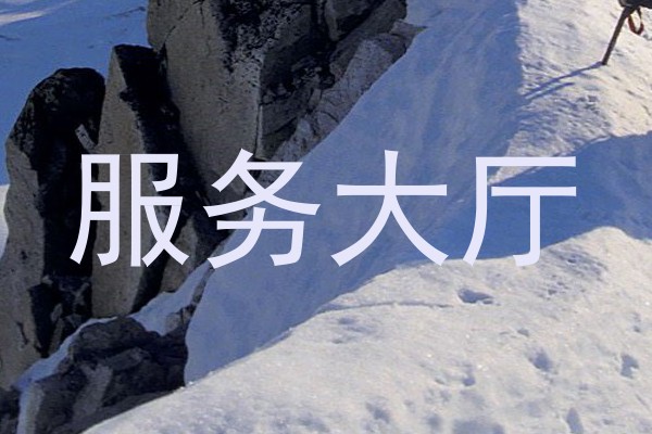 服务大厅